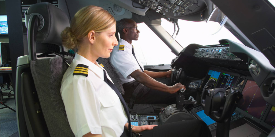 CEO pilots